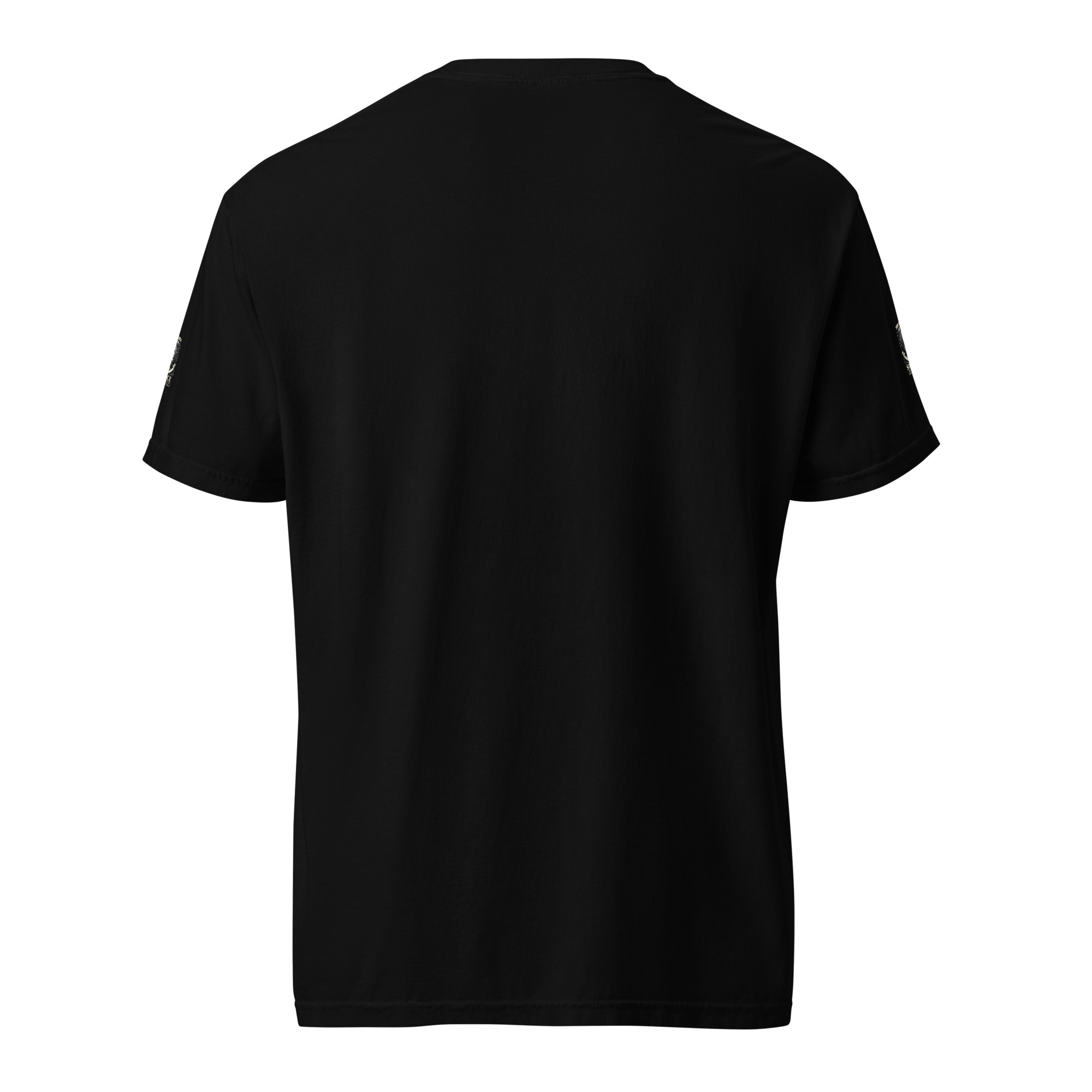 unisex-garment-dyed-heavyweight-t-shirt-black-back-6648937c1dbc2.jpg
