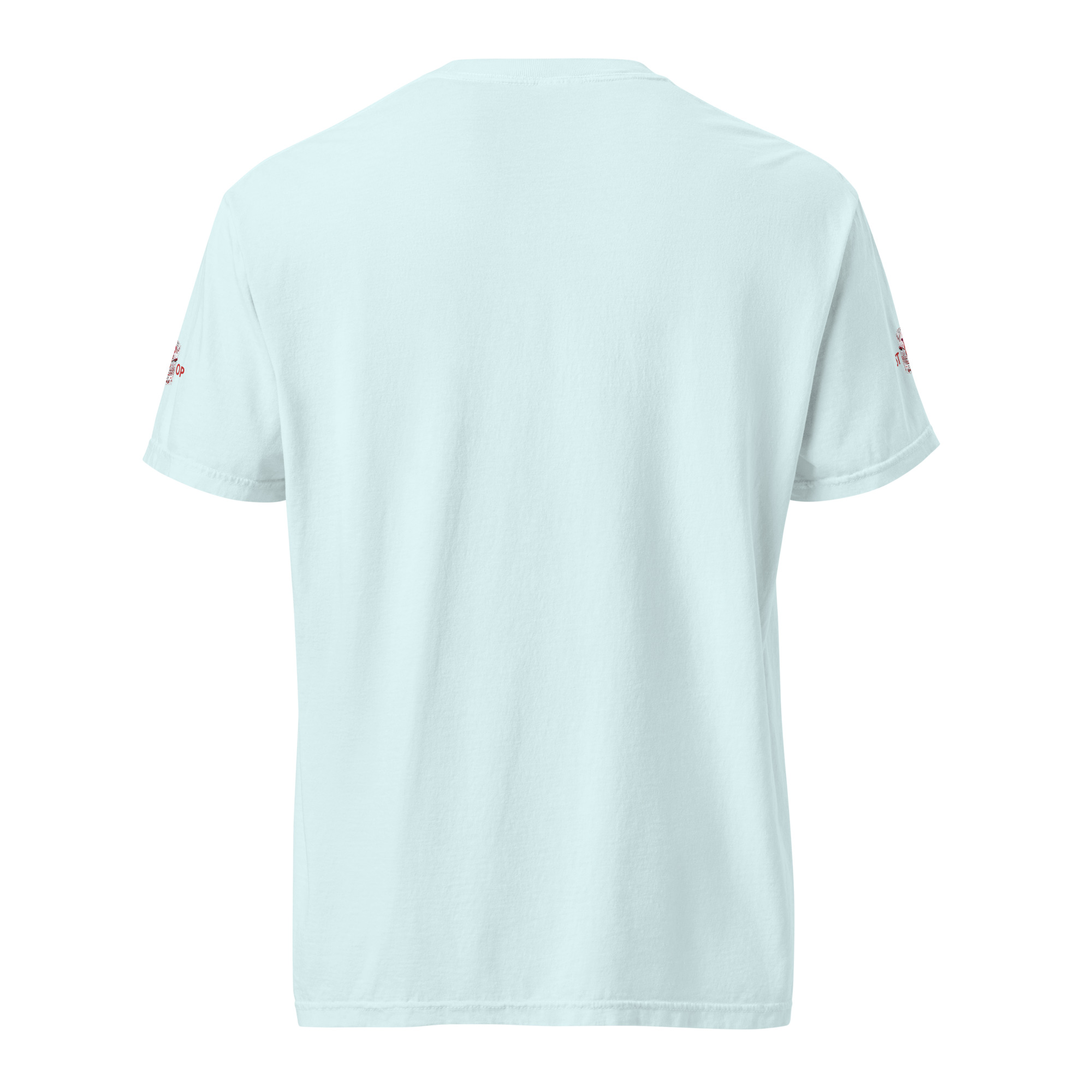 unisex-garment-dyed-heavyweight-t-shirt-chambray-back-664819a5bdbb0.jpg