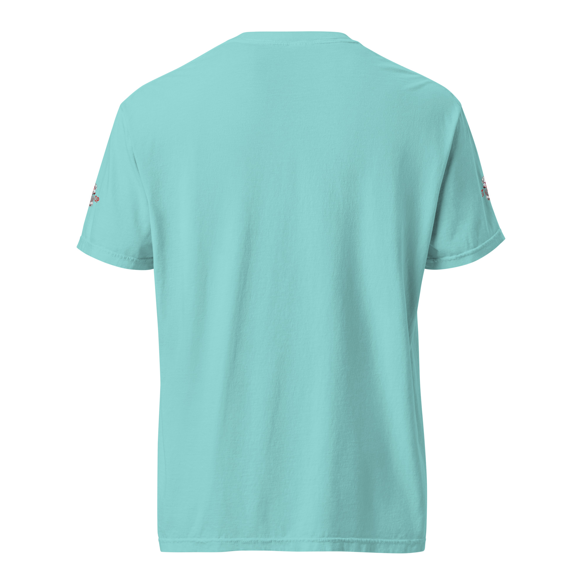 unisex-garment-dyed-heavyweight-t-shirt-lagoon-blue-back-664819a59e5f0.jpg