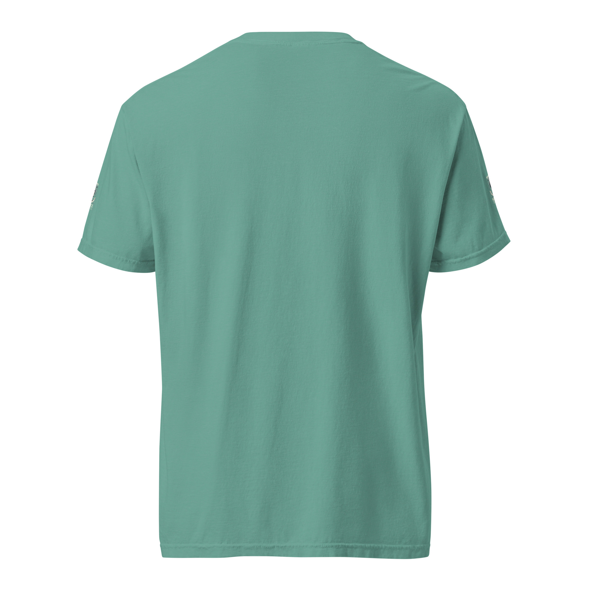 unisex-garment-dyed-heavyweight-t-shirt-seafoam-back-6648937c6c7be.jpg
