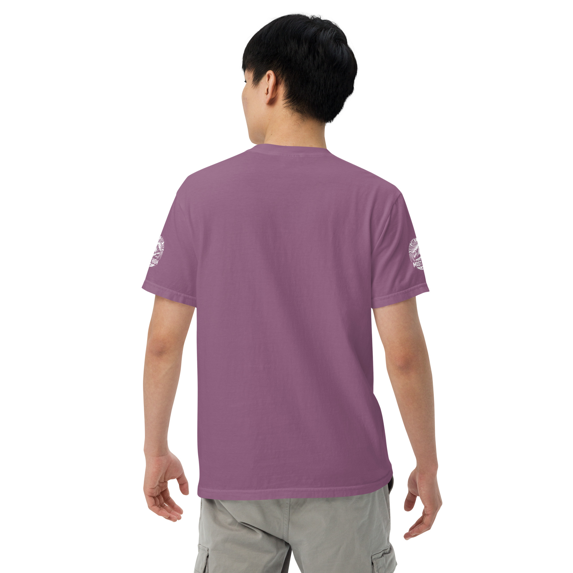 unisex-garment-dyed-heavyweight-t-shirt-berry-back-6674a1a660355.jpg