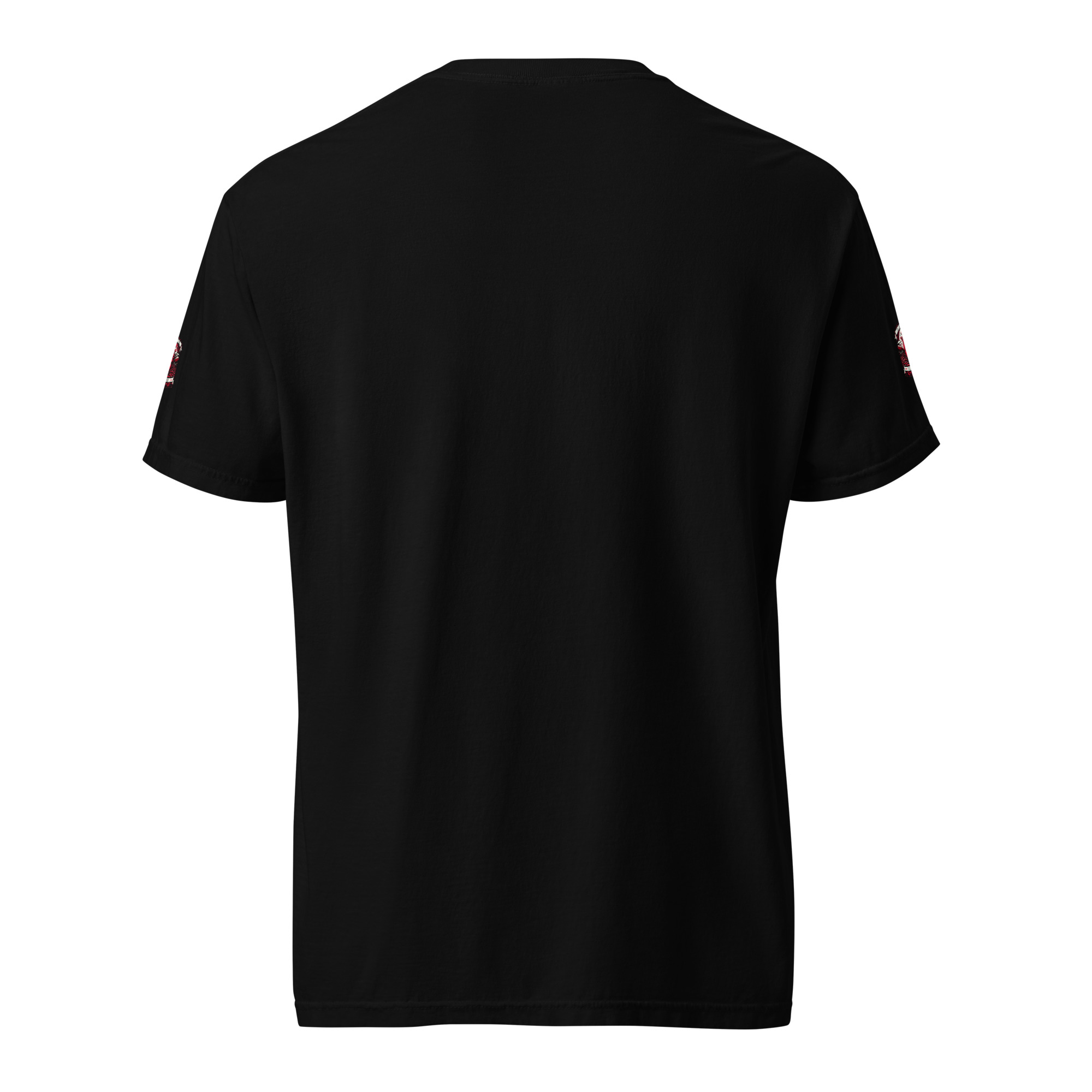 unisex-garment-dyed-heavyweight-t-shirt-black-back-668825557cd1d.jpg