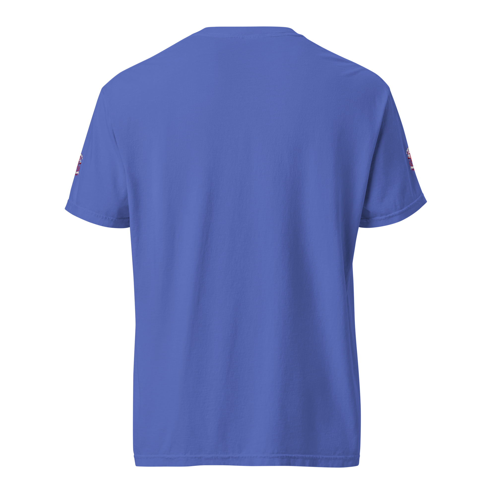 unisex-garment-dyed-heavyweight-t-shirt-flo-blue-back-668825558d101.jpg