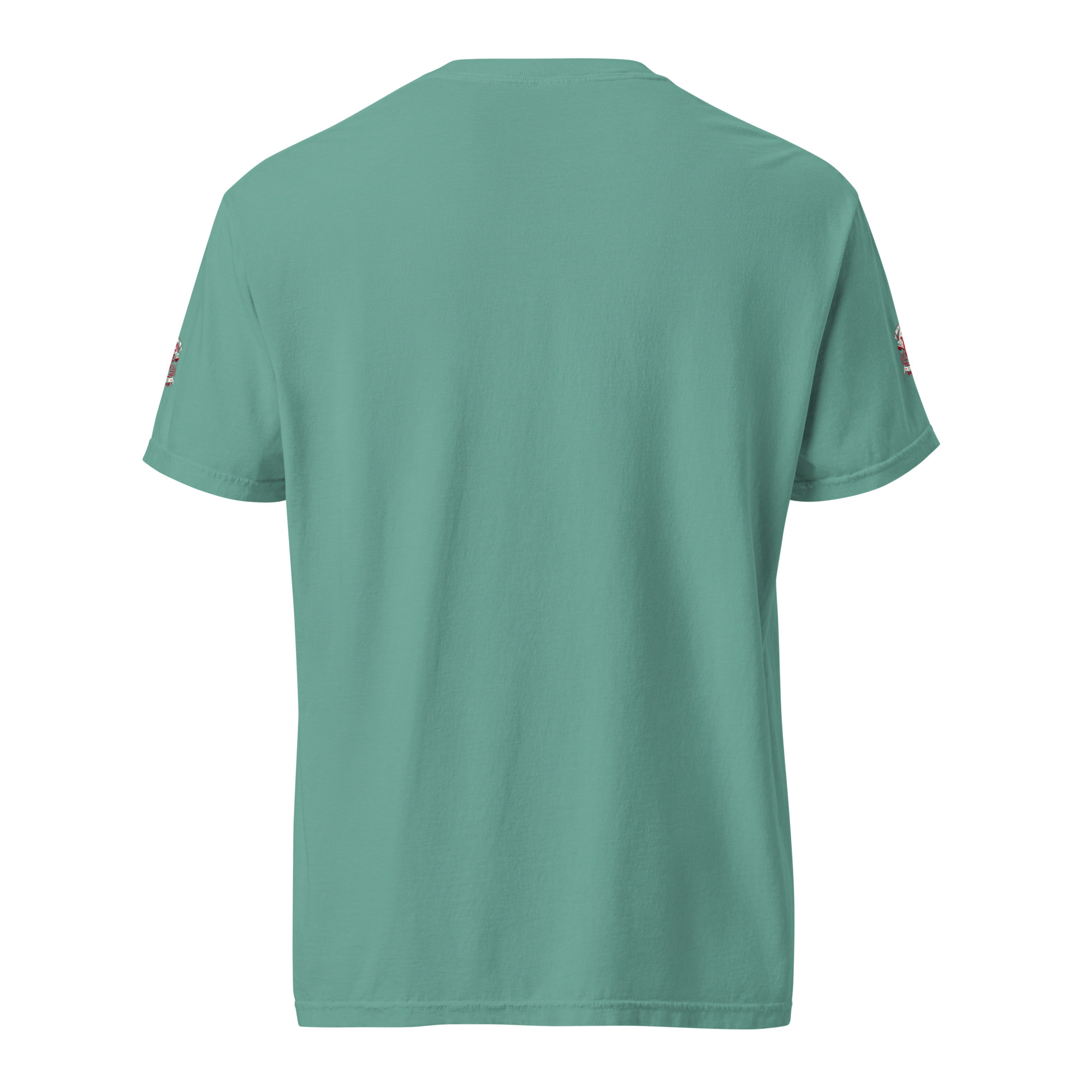 unisex-garment-dyed-heavyweight-t-shirt-seafoam-back-66882555a9bf6.jpg